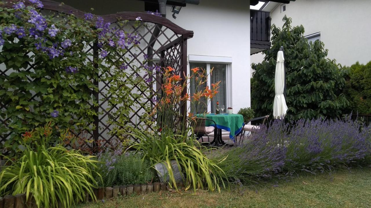 Apartma Golob Zgornja Kungota Exteriér fotografie